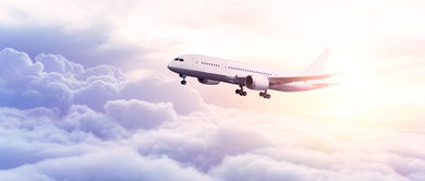 青島優(yōu)質空乘學校及票務代理服務推薦